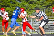 Bluejay tries to tackle